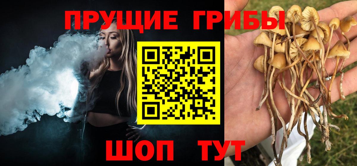 Галлюциногенные грибы MAGIC MUSHROOMS Гулькевичи